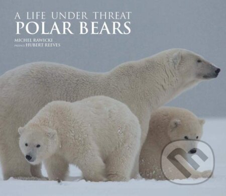 Polar Bears: A Life Under Threat