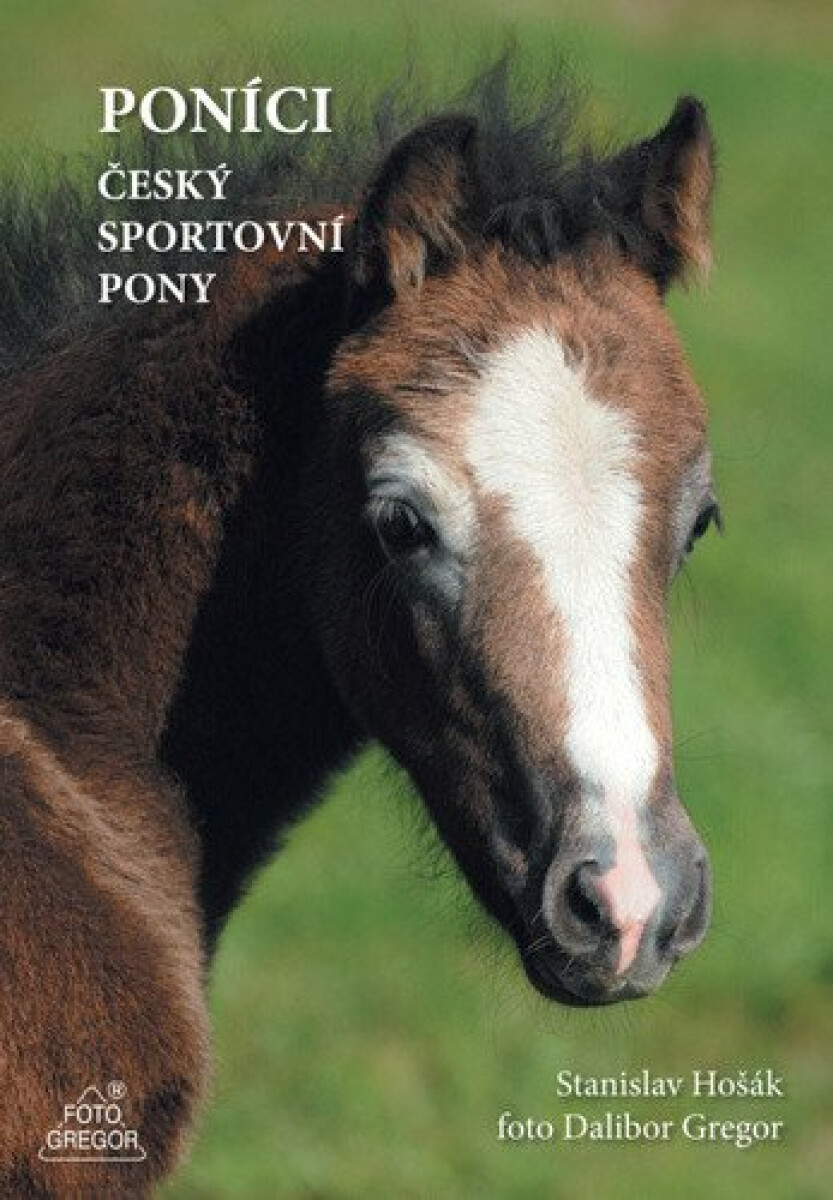 Poníci - český sportovní pony - Dalibor Gregor, Stanislav Hošák