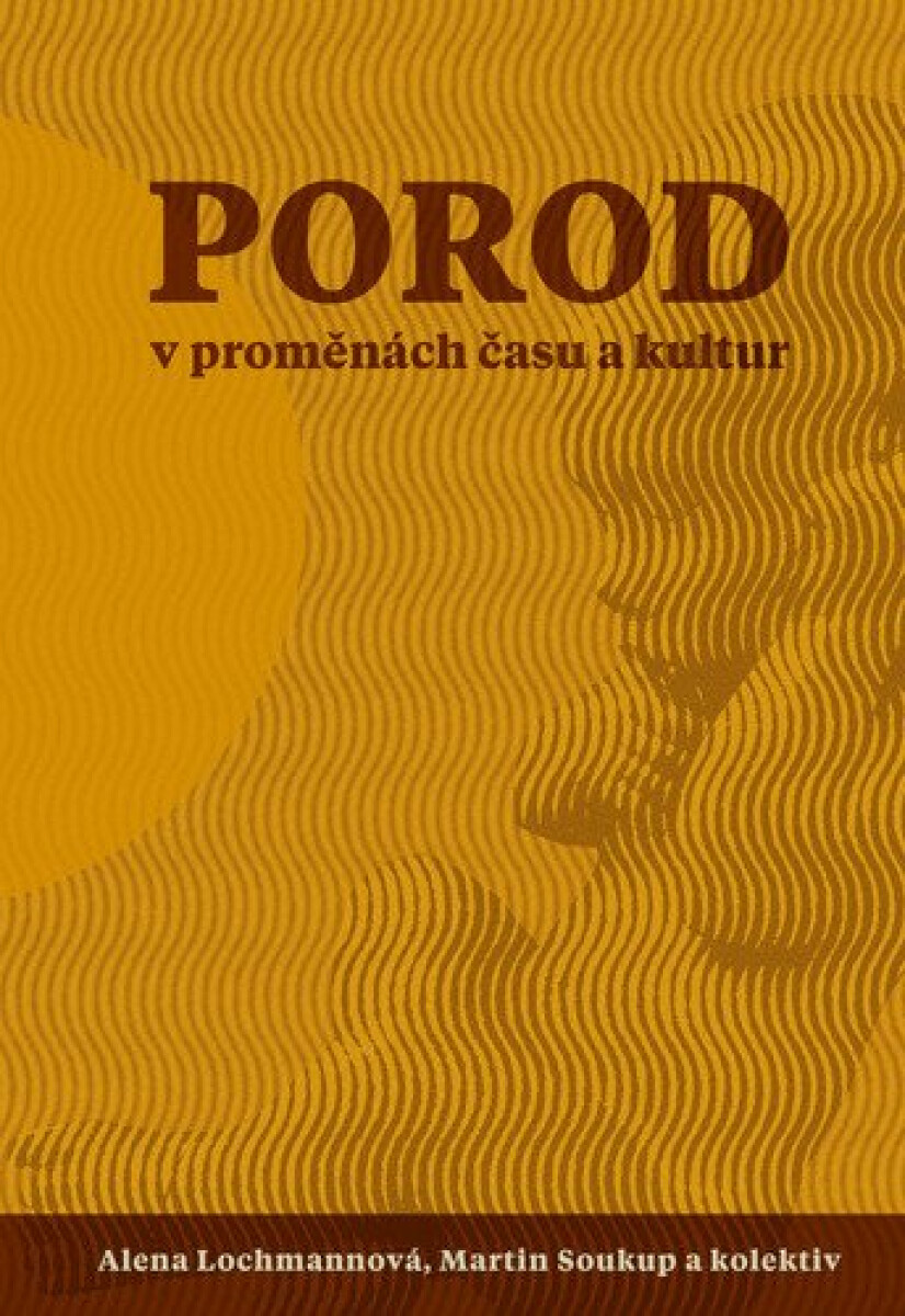 Porod v proměnách času - Martin Rychlík, Kateřina Ratislavová, Martin Soukup, Eva Hendrych Lorenzová, Kristina Janoušková, Jana Salcmanová, Alena Loch