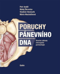 Poruchy pánevního dna (Stručné základy chirurgické perineologie) - kniha z kategorie Medicína