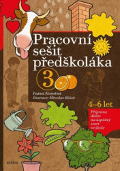 Pracovní sešit předškoláka 3 (Příprava dítěte na úspěšný start ve škole) - kniha z kategorie Úkoly pro děti