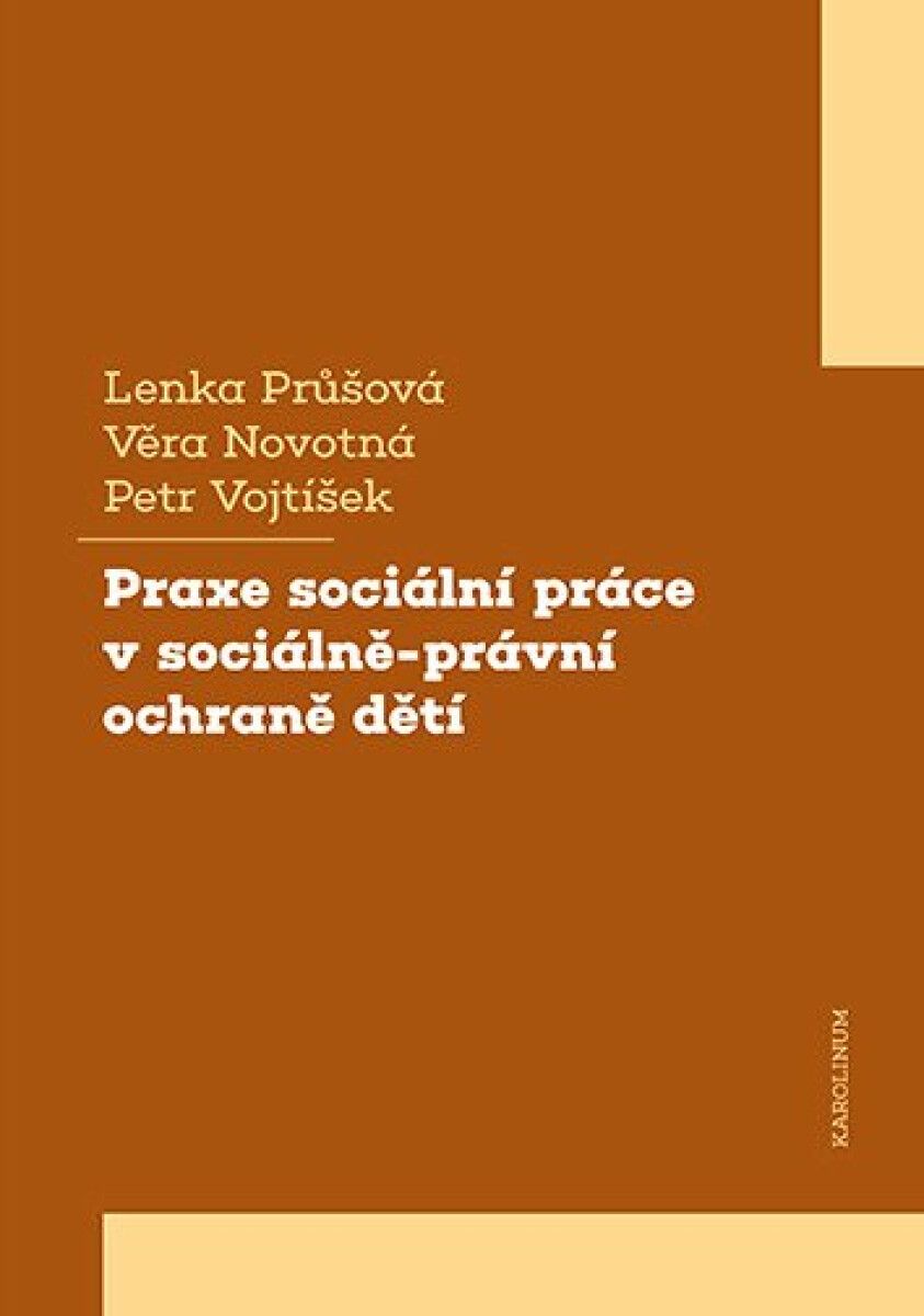 Praxe sociální práce v sociálně-právní ochraně dětí