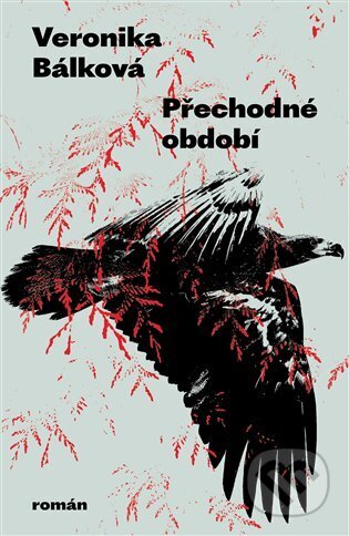 Přechodné období