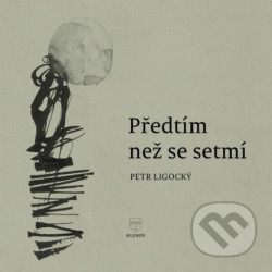 Předtím než se setmí
