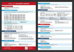 Přehled slovních druhů s gramatickými pravidly (Přehledová tabulka učiva) - kniha z kategorie 2. stupeň