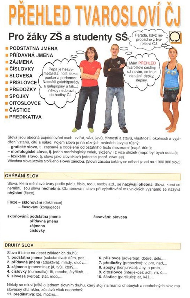 Přehled tvarosloví ČJ