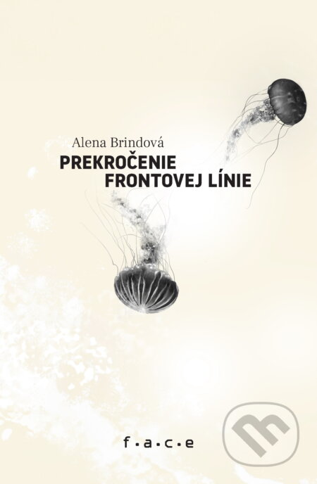 Prekročenie frontovej línie