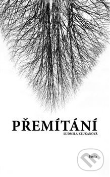 Přemítání
