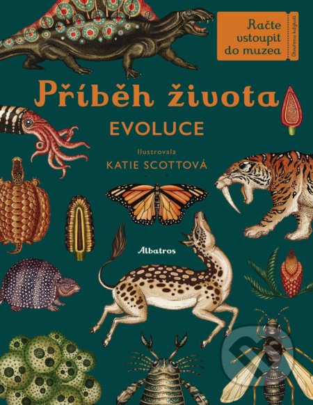 Příběh života (Evoluce)