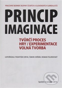 Princip imaginace