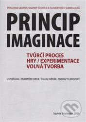 Princip imaginace