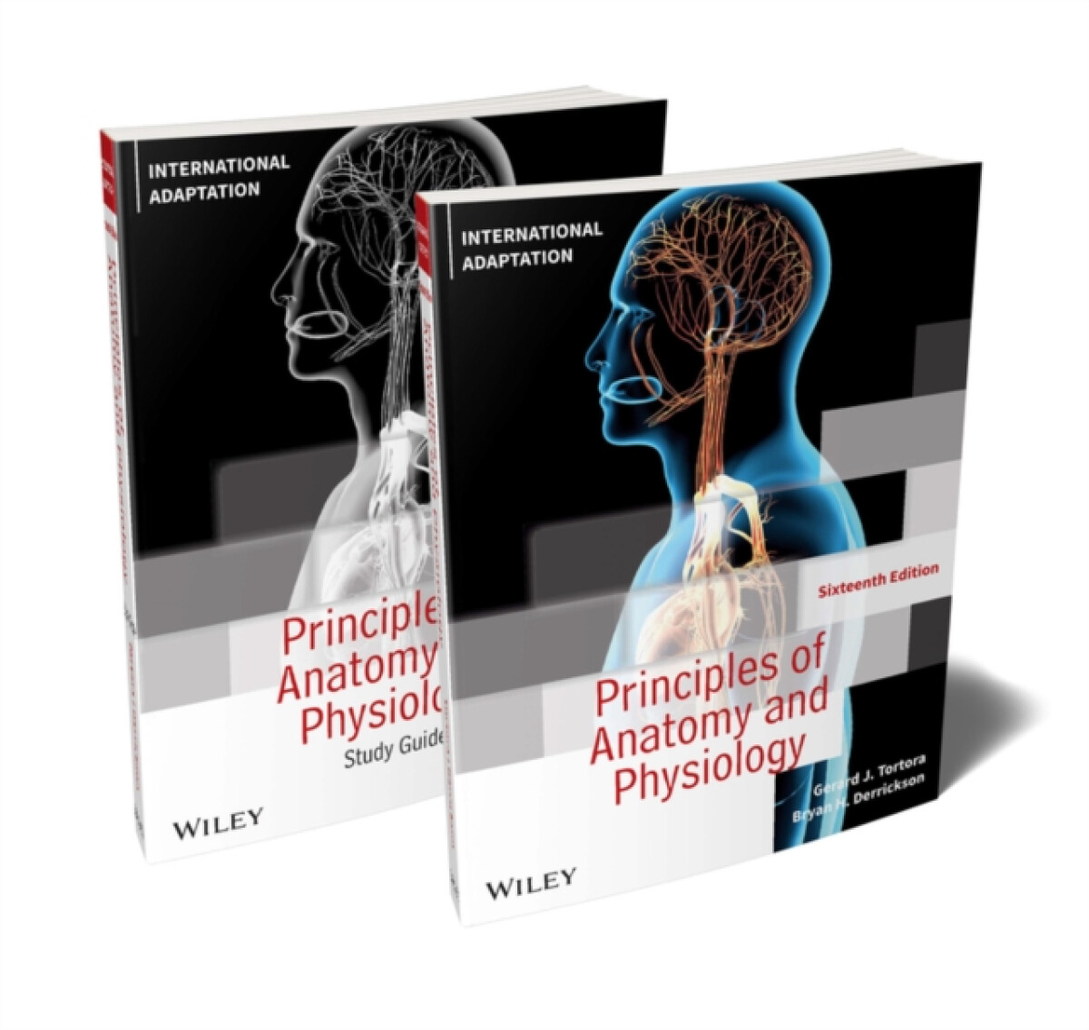 Principles of Anatomy and Physiology + Study Guide, 16e International Adaptation Set