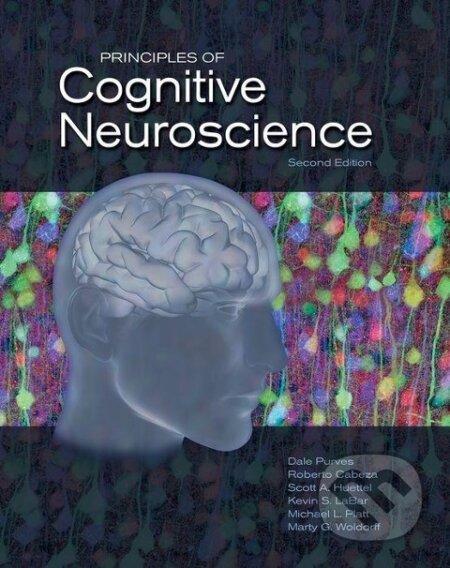 Principles of Cognitive Neuroscience