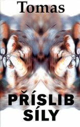 Příslib síly (Úvahy nad rozhovory toltéckých bojovníků v díle Carlose Castanedy) - kniha z kategorie Spiritualita