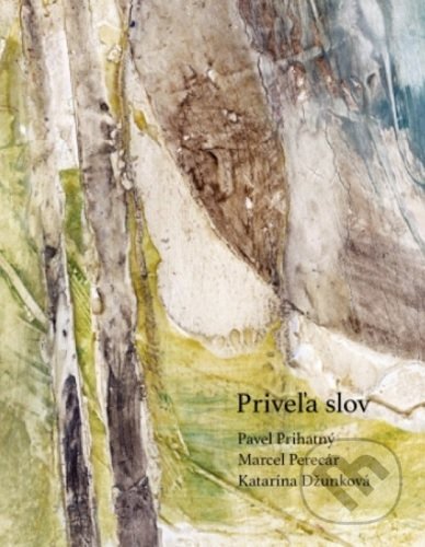 Priveľa slov