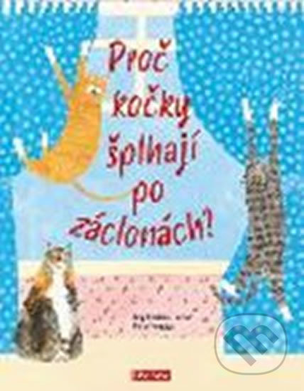 Proč kočky šplhají po záclonách? (Vše o kočkách)