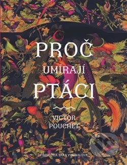 Proč umírají ptáci