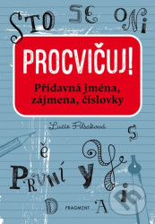 Procvičuj - Přídavná jména, zájmena, číslovky