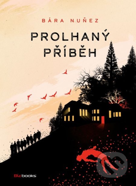 Prolhaný příběh