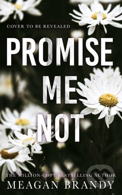 Promise Me Not