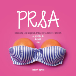 Prsa (Nekonečný zdroj inspirace, krásy, života, humoru, ale i starostí od pravěku do dnešních dnů) - kniha z kategorie Film