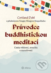 Průvodce buddhistickou meditací - Cesta vědomí, soucitu a moudrosti