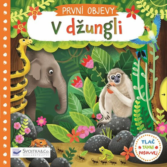 PRVNÍ OBJEVY - V džungli  Jenny Wren - Jenny Wren