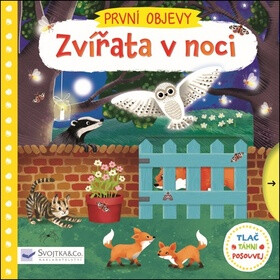 PRVNÍ OBJEVY - Zvířata v noci  Jenny Wren - Jenny Wren