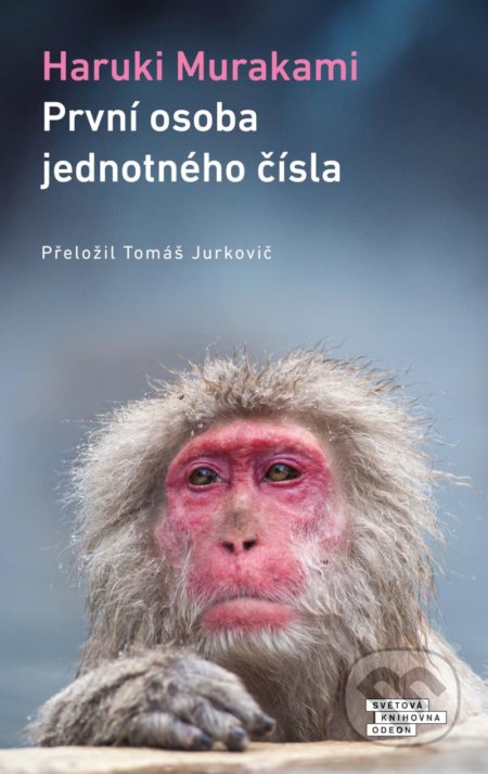 První osoba jednotného čísla