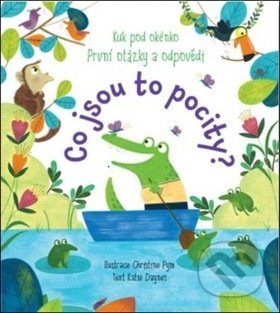 První otázky a odpovědi: Co jsou to pocity?