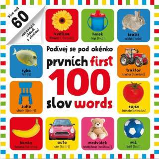 Prvních 100 slov / First 100 words