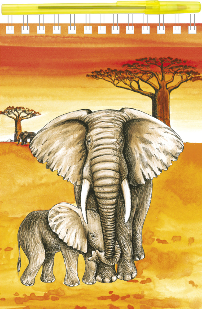 Psací sada Blok A5 Safari + kuličkové pero