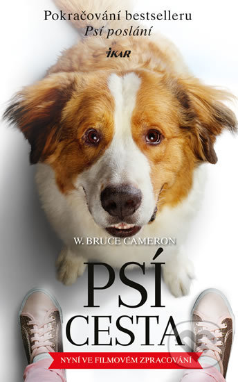 Psí cesta