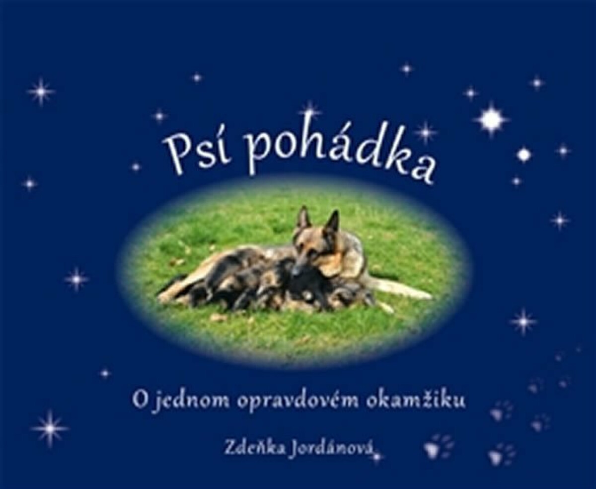 Psí pohádka o opravdovém okamžiku - Zdeňka Jordánová