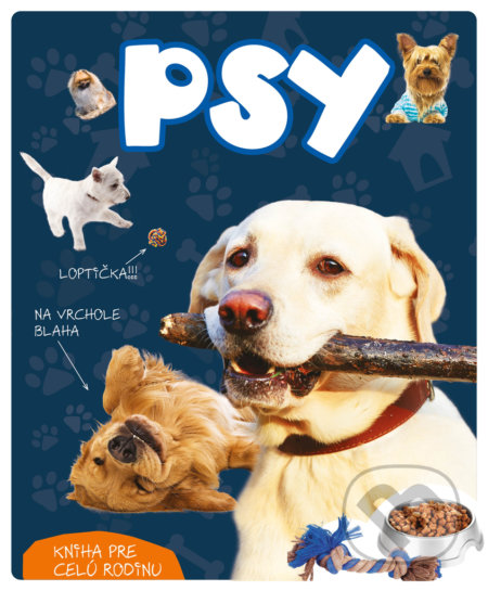 Psy