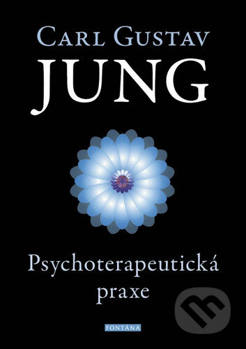 Psychoterapeutická praxe