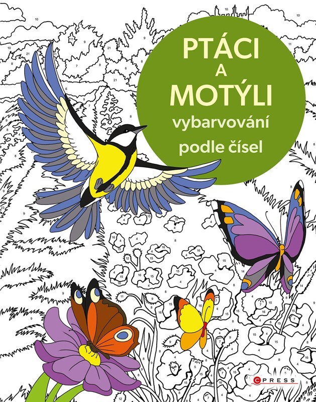Ptáci a motýli