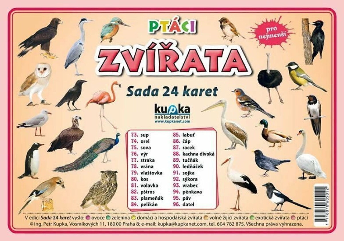 Ptáci zvířata - Sada 24 karet - Petr Kupka