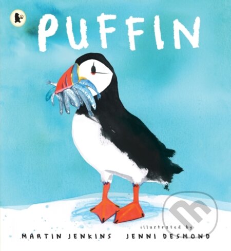 Puffin