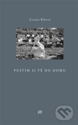 Pustím si tě do domu
