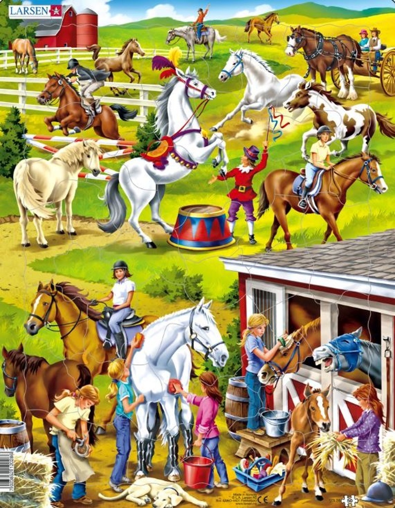 Puzzle Koně - jezdectví