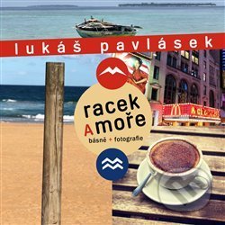 Racek a moře