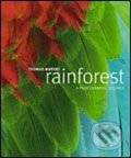 Rainforest