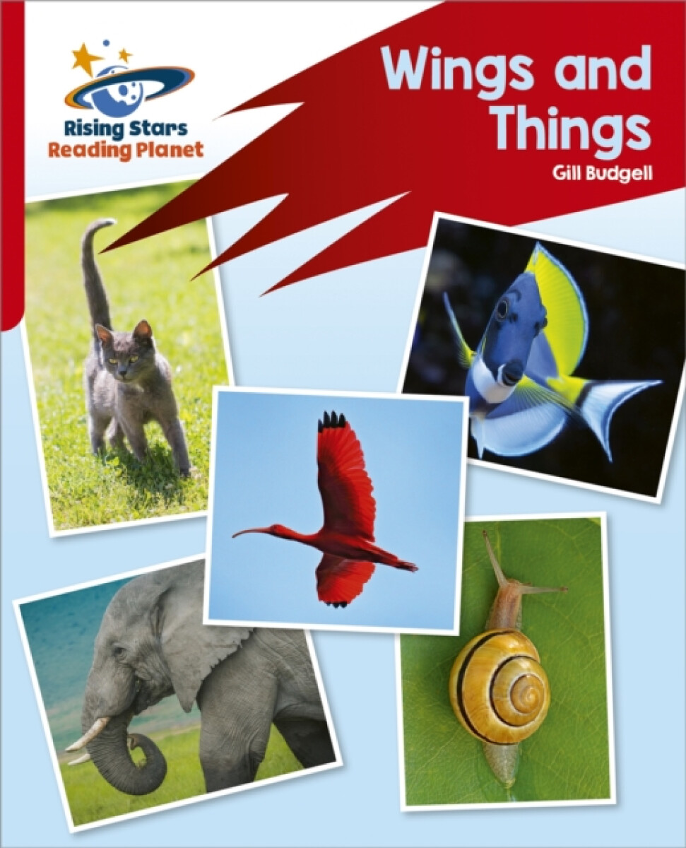 Reading Planet: Rocket Phonics â€“ Target Practice â€“ Wings and Things â€“ Red B