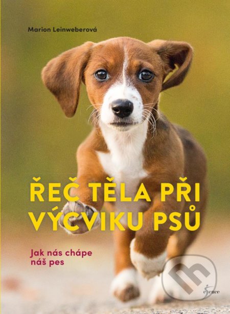 Řeč těla při výcviku psů (Jak nás chápe náš pes)