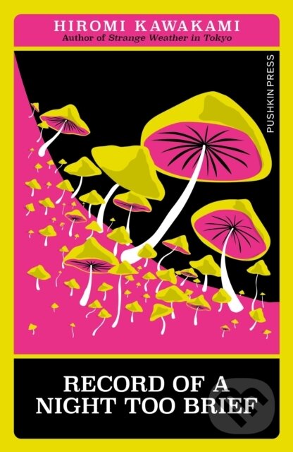 Record of a Night Too Brief