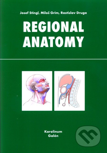Regional anatomy
