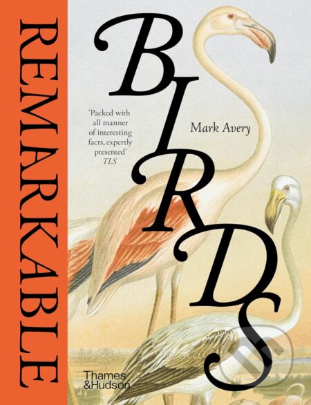 Remarkable Birds
