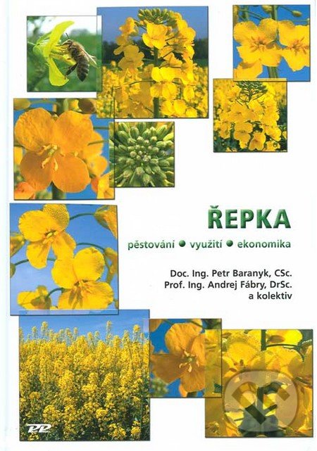 Řepka (pěstování, využití, ekonomika)