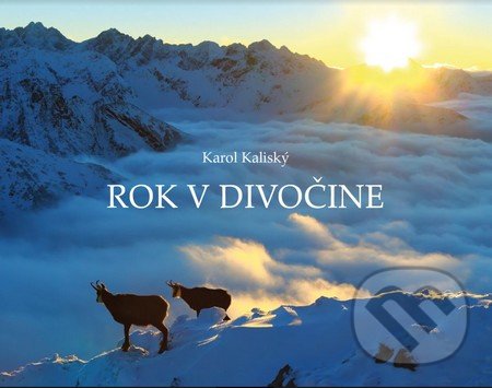 Rok v divočine